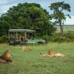 Great plains Mara plains