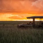 Great plains Mara plains