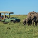 Great plains Mara plains