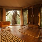 Mara plains camp