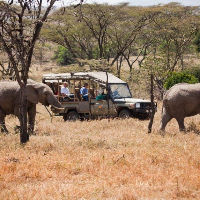 Leopard Hill Camp Mara high end living and pure nature all at once