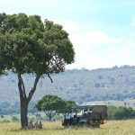 Bush brekkie