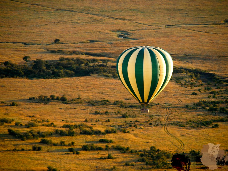 Travel to Kenya to enjoy a hot-air balloon safari