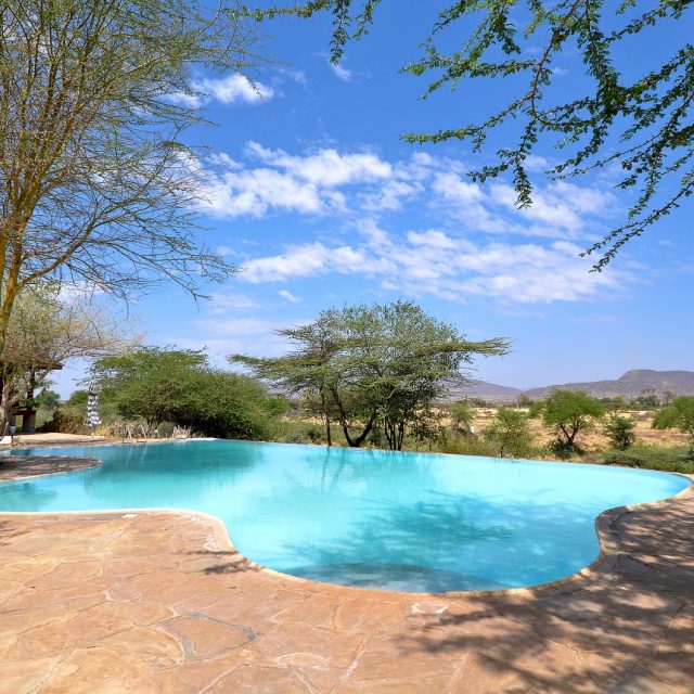 Samburu Simba Lodge