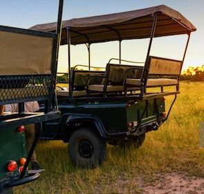 Game drives to Mara