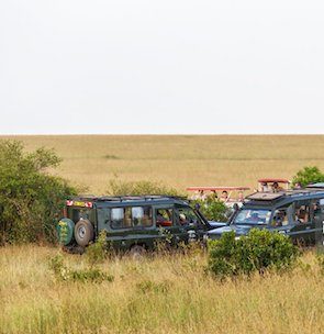 Game drive