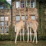 Museum in Kenya