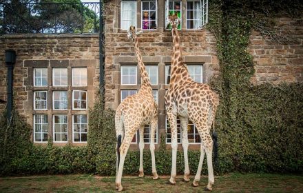 Museum in Kenya