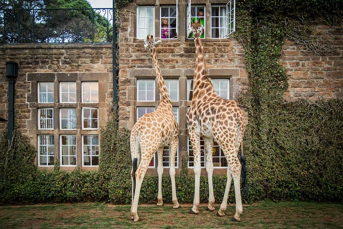 Museum in Kenya